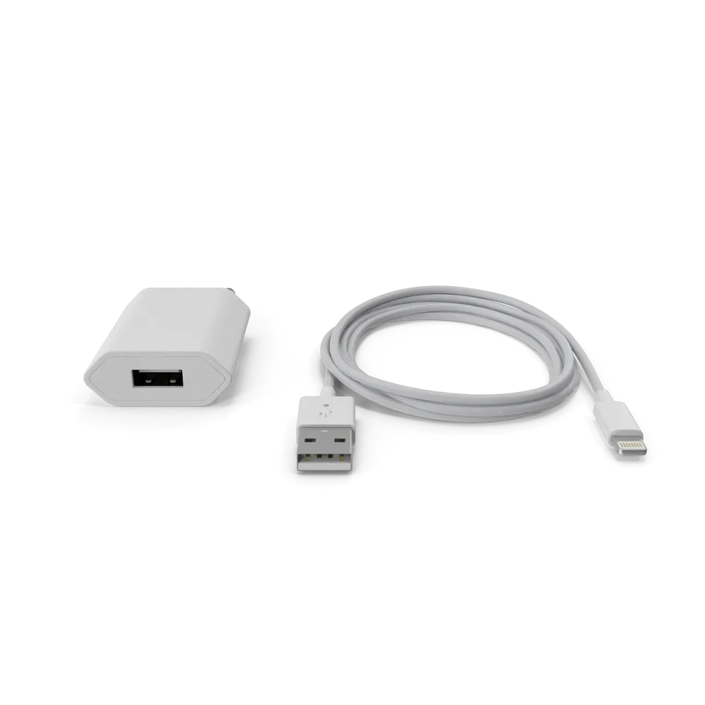 Apple iPhone 充电器