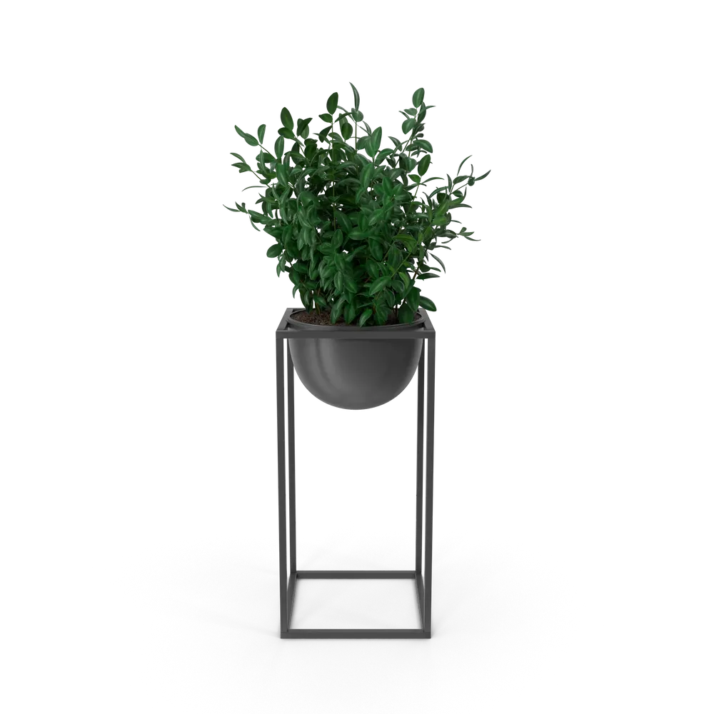 家居绿植摆件